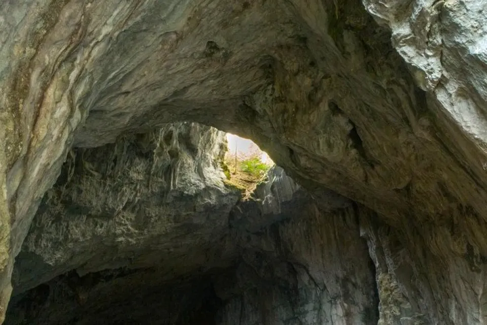 Ejder Mağarası (Mantar Mağarası)