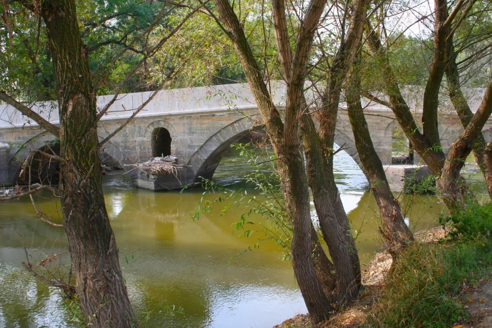 Edirne Tunca Nehri