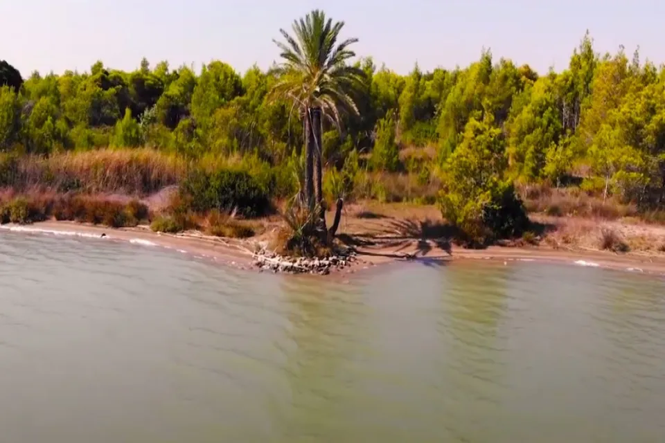 Yumurtalık Lagünü Milli Parkı Tabiat