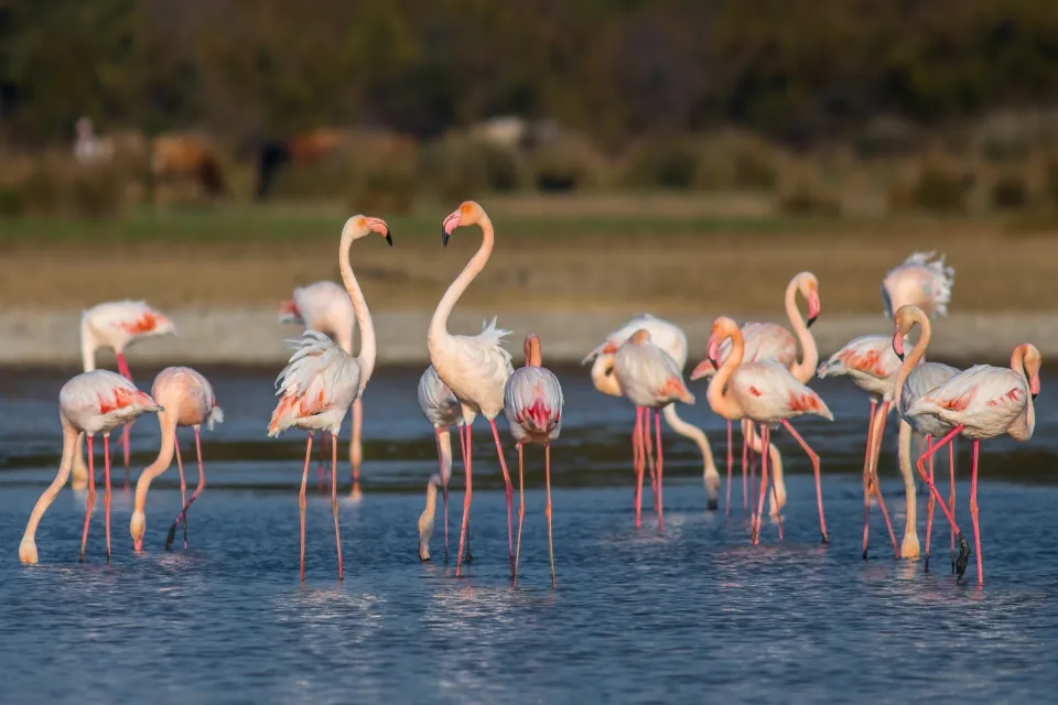Gala Gölü Milli Parkı