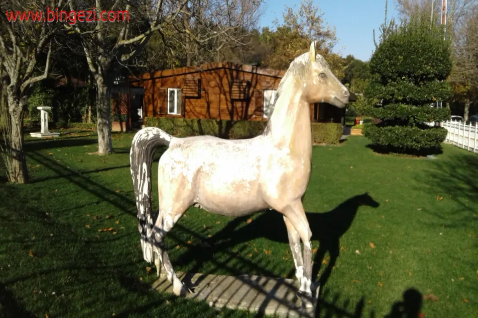 Florya Atatürk Ormanı Doğası